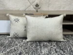 Cactus Silk Moroccan pillows  35x53