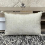 Cactus Silk Moroccan pillows 35x53 - Image 5