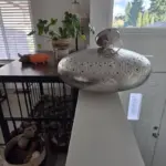 Customer review photo